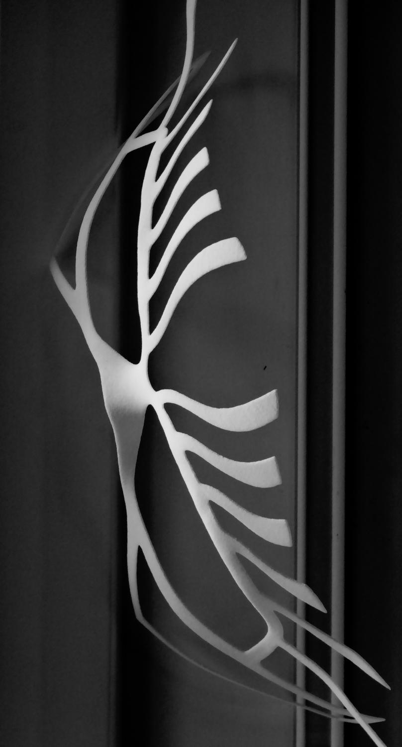  - Mask -- a study in  black and white.  - Panasonic DMC-ZS40, DMC-ZS50, DMC-LF1 - Tony Karp, design, art, photography, techno-impressionist, techno-impressionism, aerial photography , drone , drones , dji , mavic pro , video , 3D printing - Books -