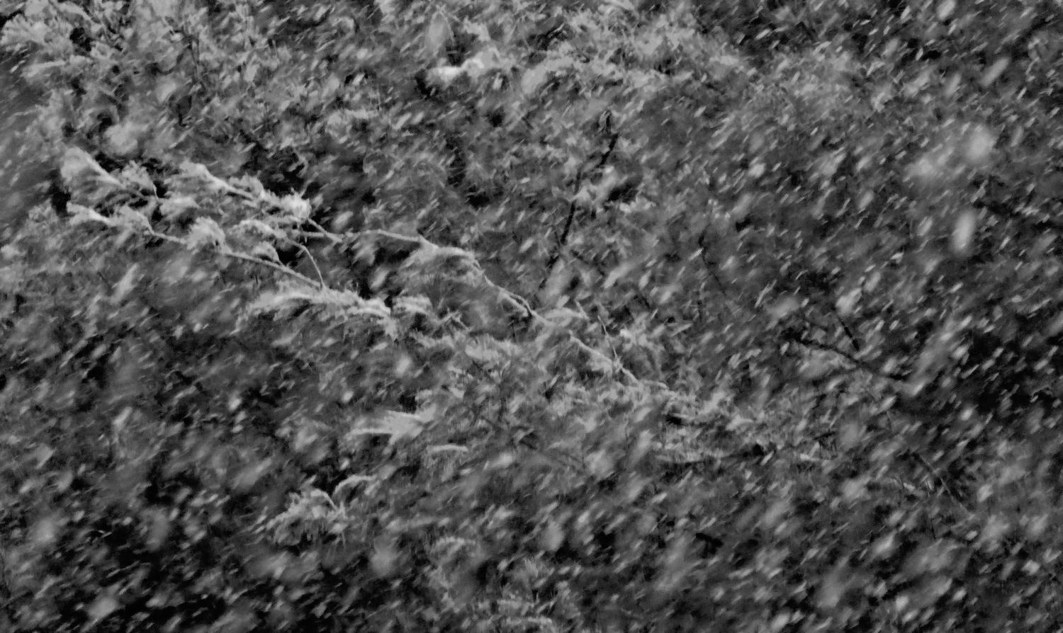  -  A close-up of a snowstorm. - Panasonic DMC-ZS40, DMC-ZS50, DMC-LF1 - Tony Karp, design, art, photography, techno-impressionist, techno-impressionism, aerial photography , drone , drones , dji , mavic pro , video , 3D printing - Books -