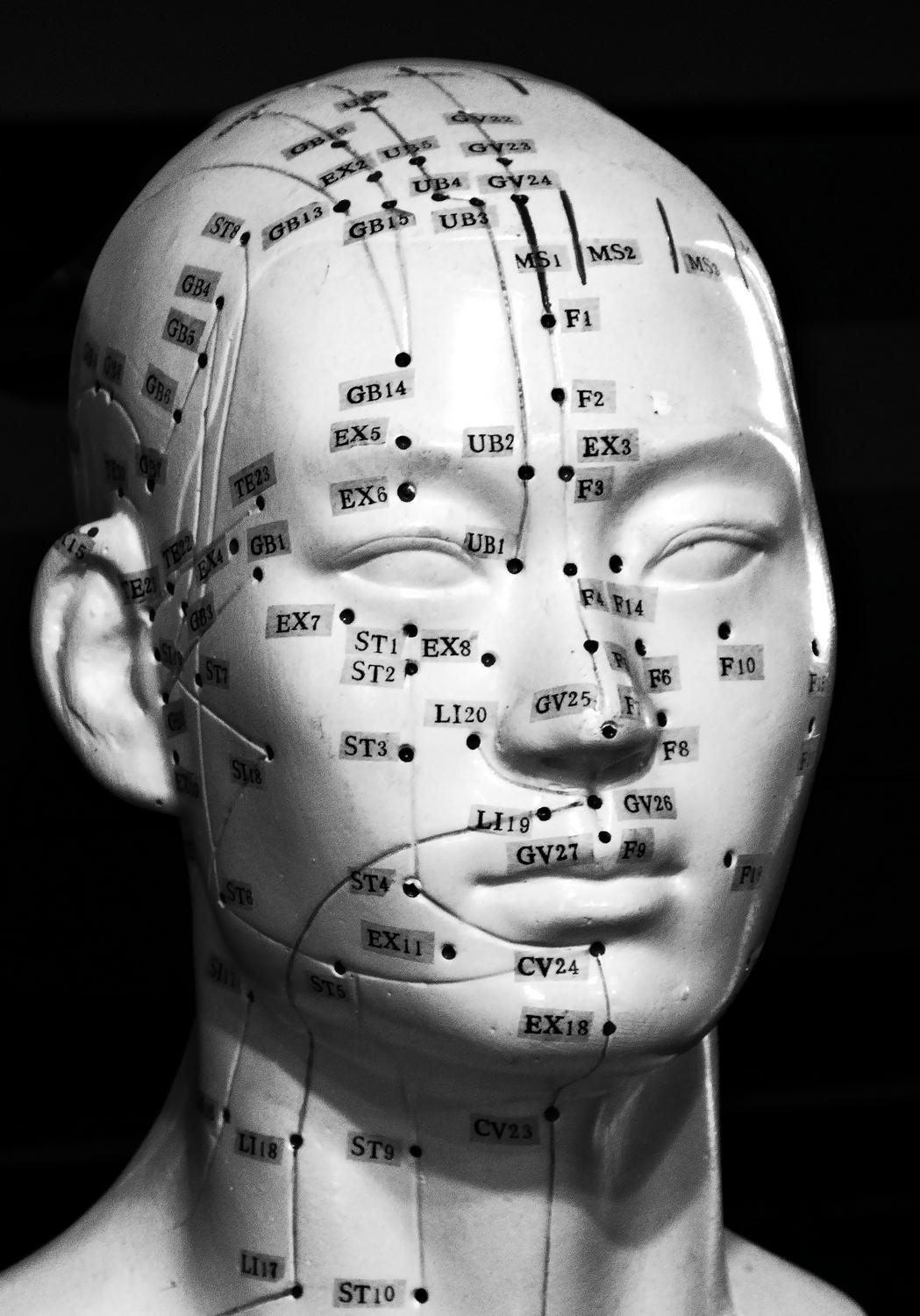 Acupuncture dummy -  A portrait of Pinhead - Panasonic DMC-ZS40, DMC-ZS50, DMC-LF1 - Tony Karp, design, art, photography, techno-impressionist, techno-impressionism, aerial photography , drone , drones , dji , mavic pro , video , 3D printing - Books -