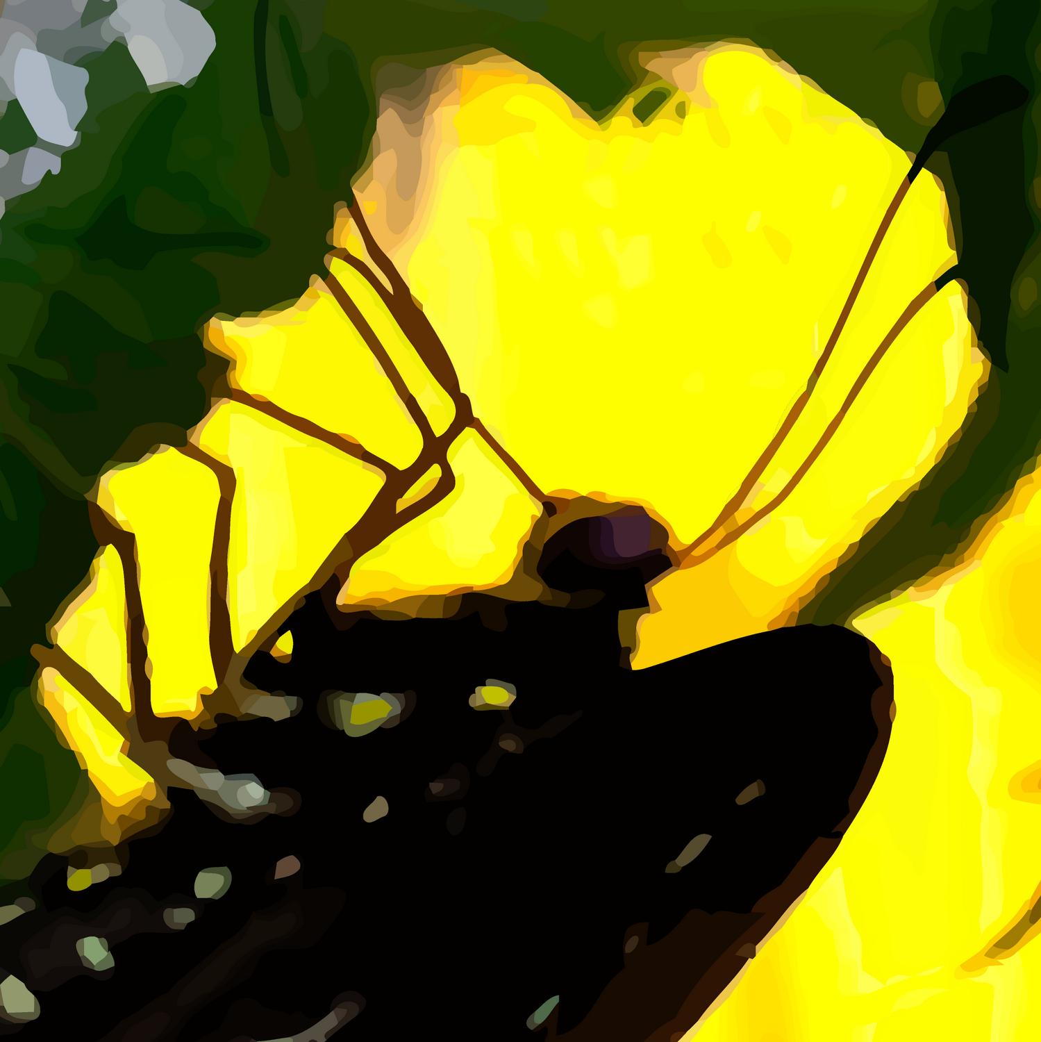  - This is a close-up of what the vector-based image looks like.<br> It's no longer a photograph. - Retouching a picture of a swallowtail butterfly - Panasonic DNC-LF1 - butterfly in Havana. - Tony Karp, design, art, photography, techno-impressionist, techno-impressionism, aerial photography , drone , drones , dji , mavic pro , video , 3D printing - Books -