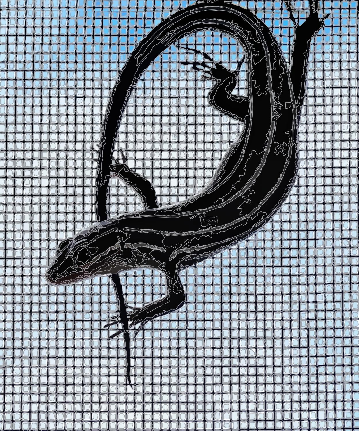 - Here's the skink, rendered into PostScript,<br> and now just lines and shapes. - Leica C (typ 112) - Panasonic DMC-LF1 - five-lined skink - - Tony Karp, design, art, photography, techno-impressionist, techno-impressionism, aerial photography , drone , drones , dji , mavic pro , video , 3D printing - Books -