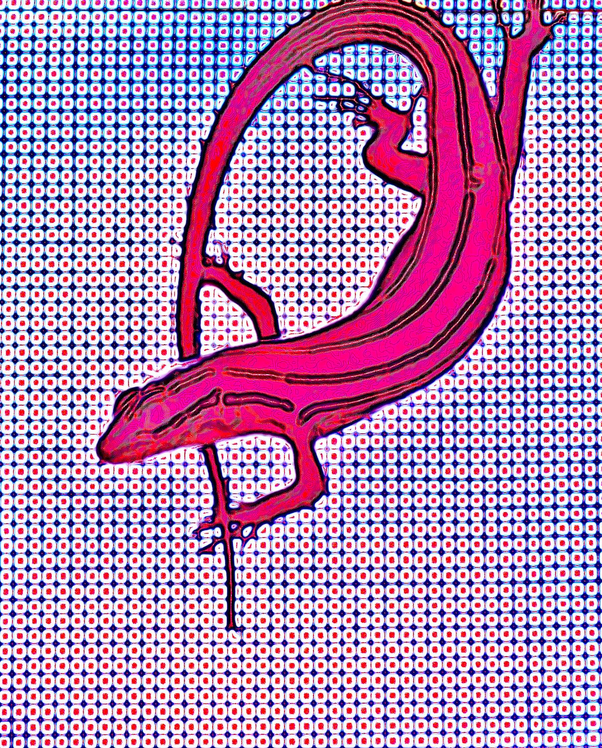  - A red skink on a screen filled with red dots. - Leica C (typ 112) - Panasonic DMC-LF1 - five-lined skink - - Tony Karp, design, art, photography, techno-impressionist, techno-impressionism, aerial photography , drone , drones , dji , mavic pro , video , 3D printing - Books -