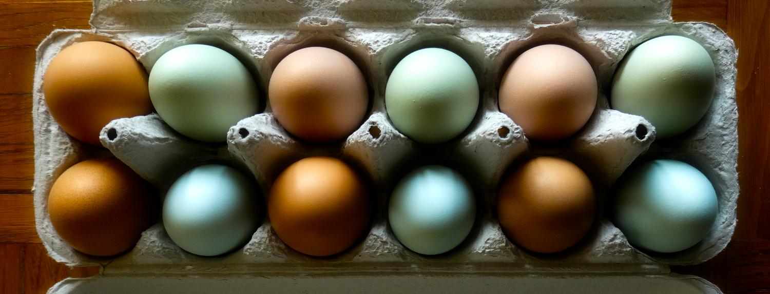  - Green eggs and ham. And onions. And cheddar. - Mark and Lana -- Chickens -- Eggs -- eggshells -- green eggs and ham - - Tony Karp, design, art, photography, techno-impressionist, techno-impressionism, aerial photography , drone , drones , dji , mavic pro , video , 3D printing - Books -