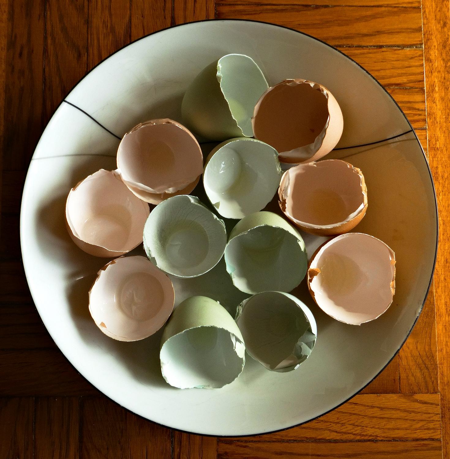  - Beautiful, multi-colored eggshells. - Mark and Lana -- Chickens -- Eggs -- eggshells -- green eggs and ham - - Tony Karp, design, art, photography, techno-impressionist, techno-impressionism, aerial photography , drone , drones , dji , mavic pro , video , 3D printing - Books -