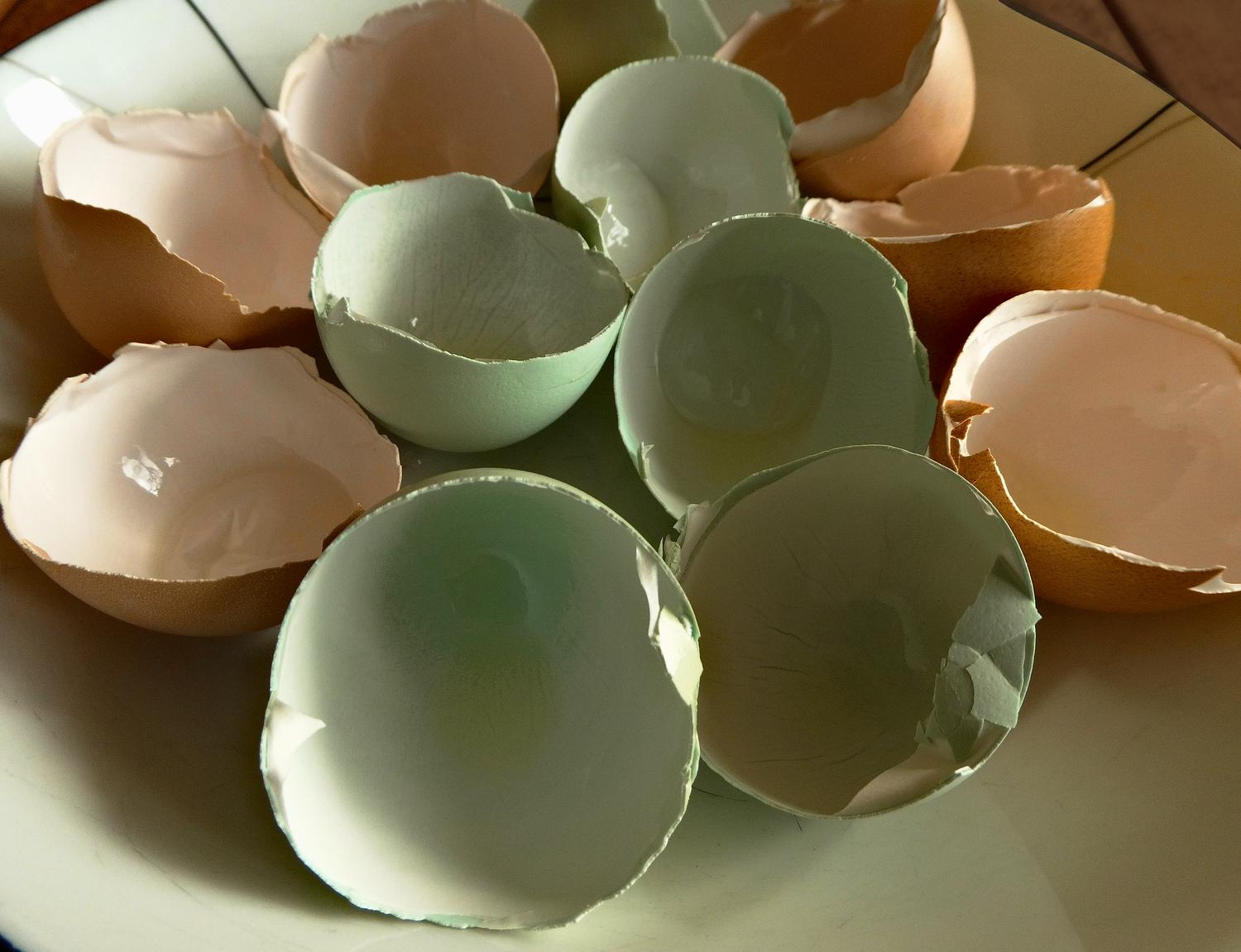  - A closer look at the eggshells from the home-grown eggs. - Mark and Lana -- Chickens -- Eggs -- eggshells -- green eggs and ham - - Tony Karp, design, art, photography, techno-impressionist, techno-impressionism, aerial photography , drone , drones , dji , mavic pro , video , 3D printing - Books -