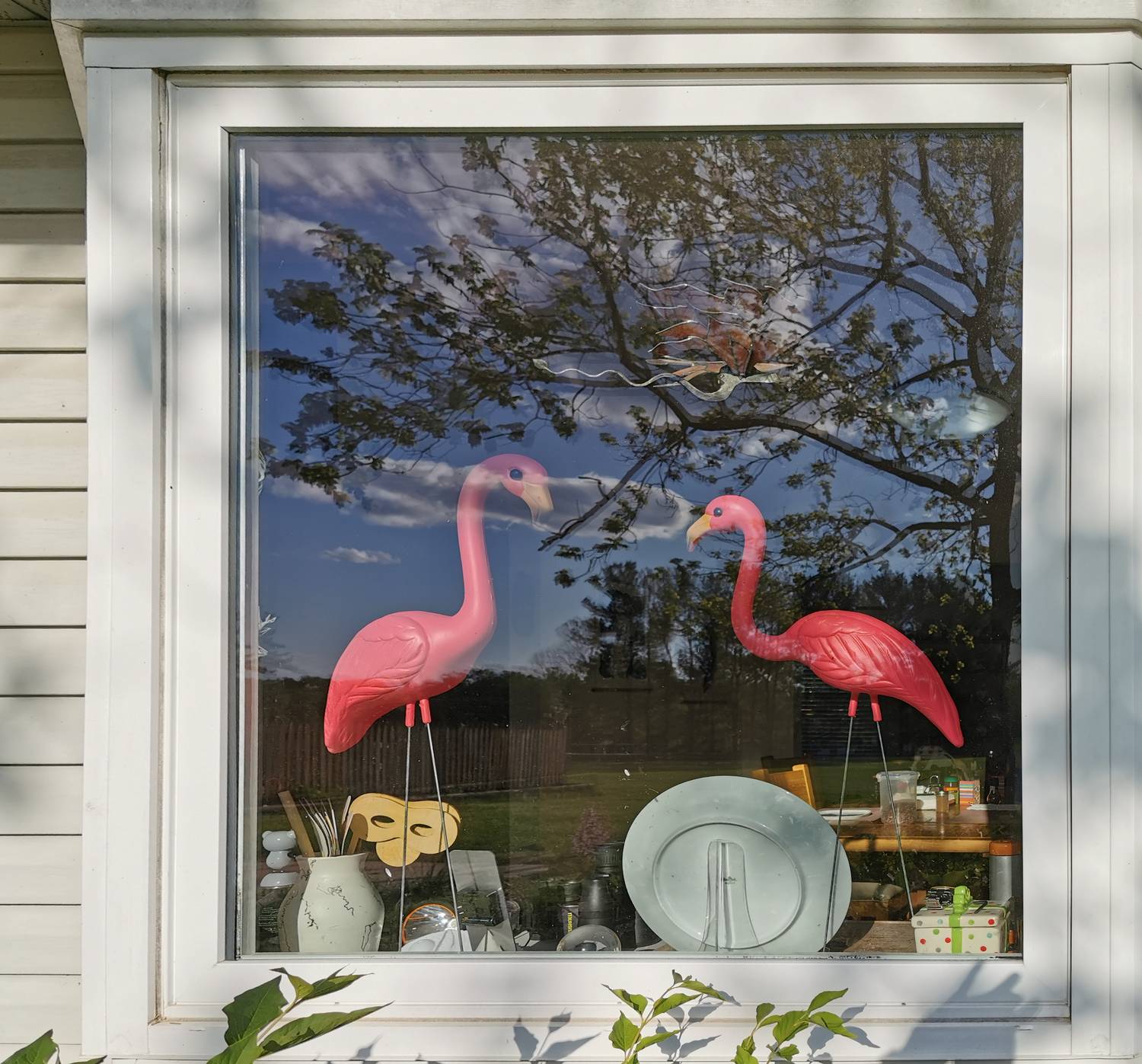  - My fix for bird strikes on my window - Bird strikes, flamingos, preventing bird strikes, pink - Tony Karp, design, art, photography, techno-impressionist, techno-impressionism, aerial photography , drone , drones , dji , mavic pro , video , 3D printing - Books -